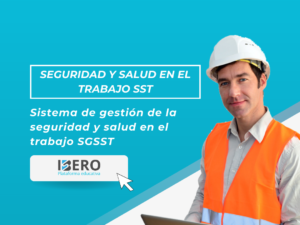 2. Sistema gestion SST