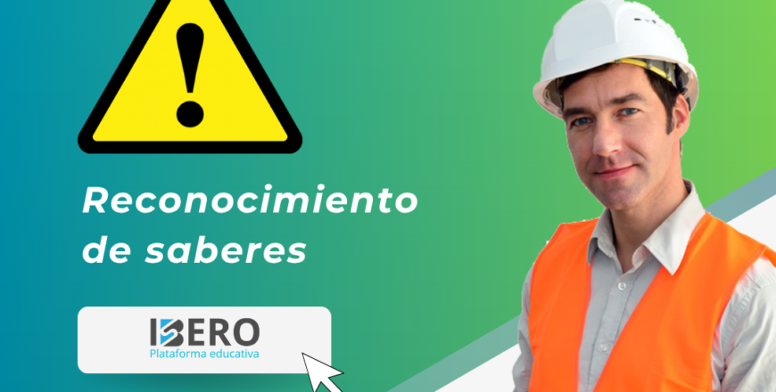 Saberes SALUD OCUPACIONAL